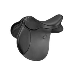 Saddle